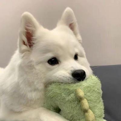 후기 사진 1
