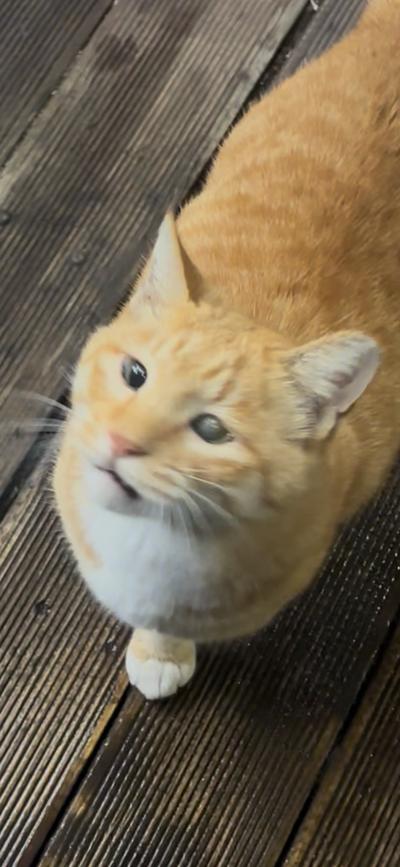 후기 사진 1