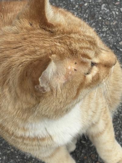 후기 사진 2