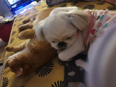 후기 사진 1