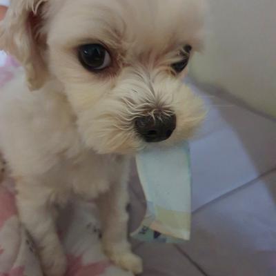 후기 사진 1