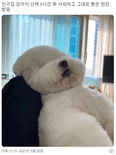 후기 사진 1