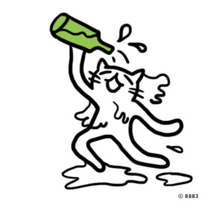 후기 사진 1