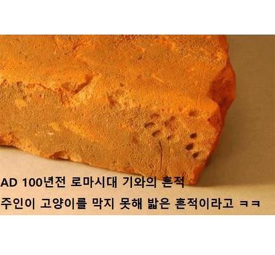 후기 사진 1