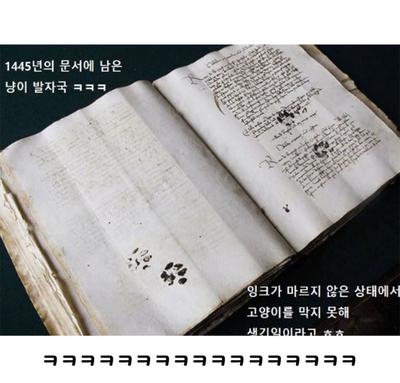 후기 사진 2