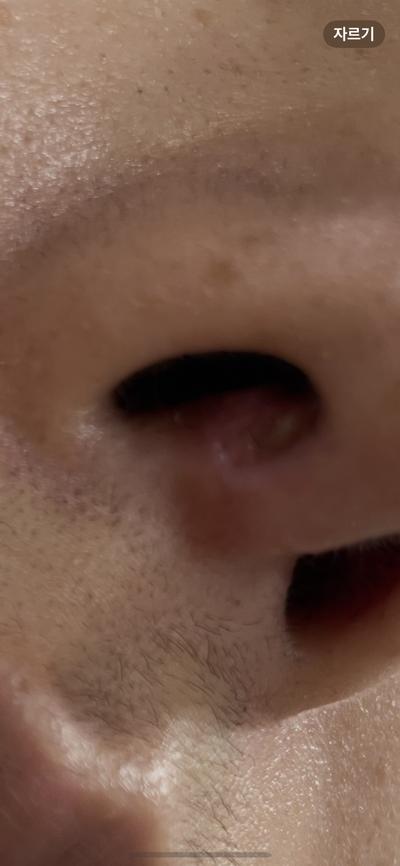 후기 사진 6