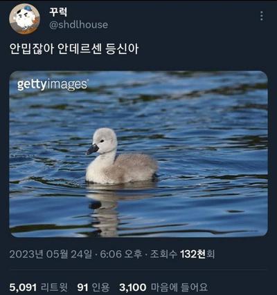 후기 사진 1