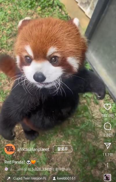 후기 사진 1
