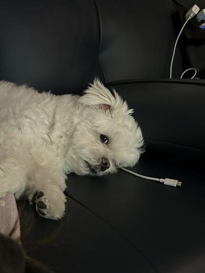 후기 사진 1