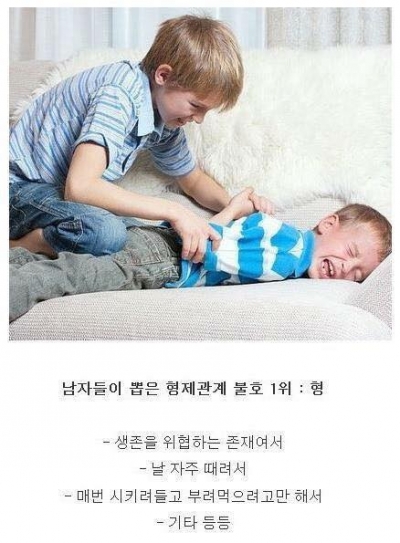 후기 사진 4