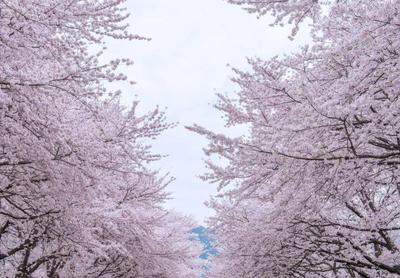 후기 사진 1