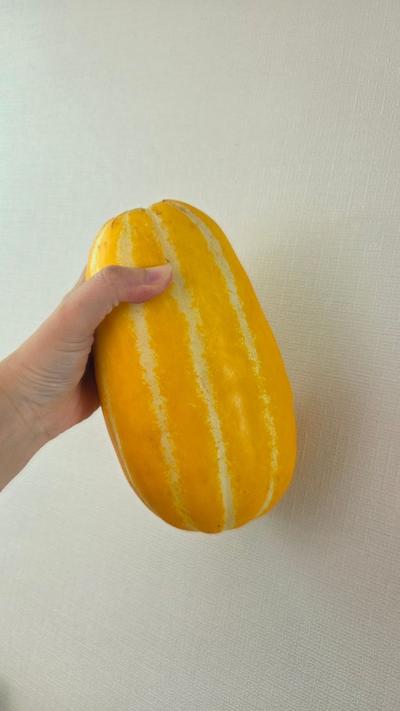 후기 사진 1