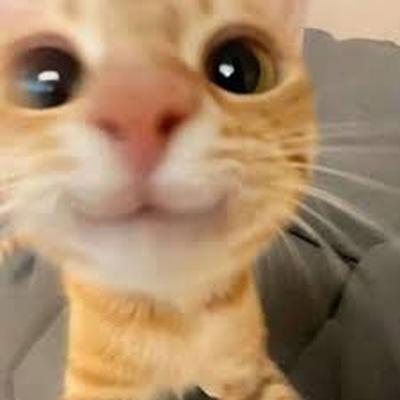 후기 사진 1