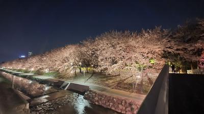 후기 사진 1