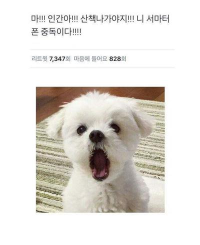후기 사진 1