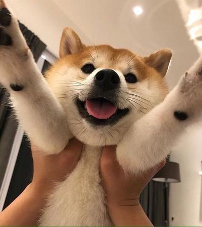 후기 사진 2