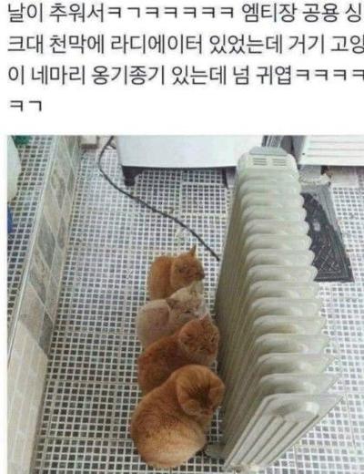 후기 사진 1