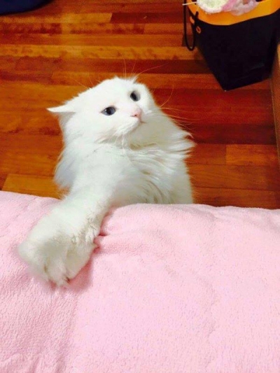 후기 사진 2