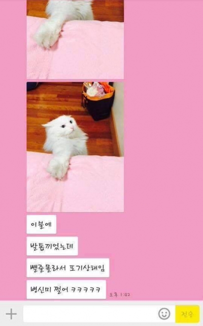 후기 사진 1
