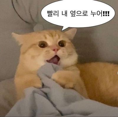 후기 사진 1